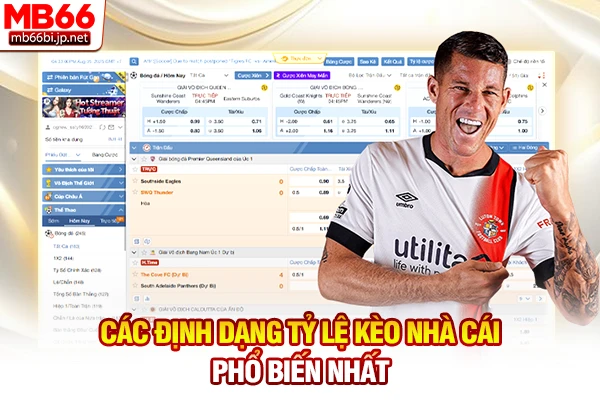 Tỷ Lệ Kèo Nhà Cái: Cách Đọc Bảng Cược Chuẩn Xác 5s 3 Các định dạng tỷ lệ kèo nhà cái phổ biến nhất