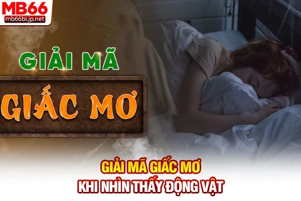 Giải Mã Giấc Mơ - Tra Cứu Sổ Mơ Lô Đề Chuẩn Xác 5s 4 Giải mã giấc mơ khi nhìn thấy động vật