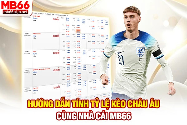 Tỷ Lệ Kèo Châu Âu - Cách Đọc Kèo 1x2 Chuẩn Xác 2026 3 Hướng dẫn tính tỷ lệ kèo Châu Âu cùng nhà cái MB66