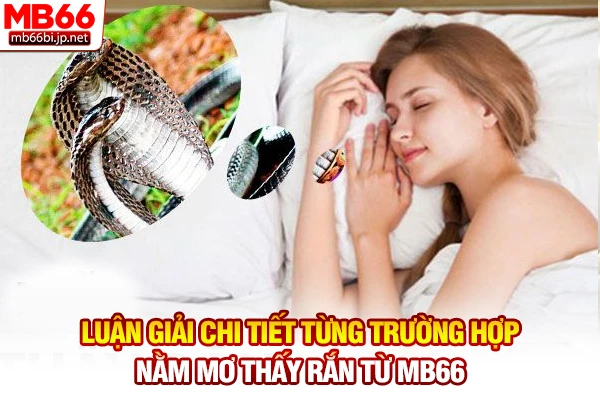 Nằm Mơ Thấy Rắn - Điềm Báo Lành Dữ Và Con Số May Mắn 3 Luận giải chi tiết từng trường hợp nằm mơ thấy rắn từ MB66