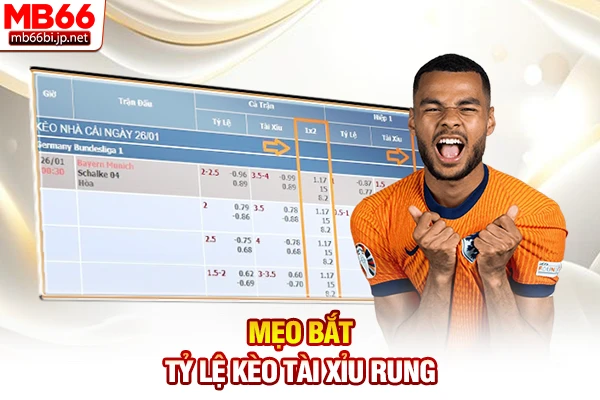 Tỷ Lệ Kèo Tài Xỉu - Cách Đọc Kèo Trên Dưới Chuẩn Xác 5 Mẹo bắt tỷ lệ kèo Tài Xỉu rung