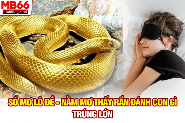 Nằm Mơ Thấy Rắn - Điềm Báo Lành Dữ Và Con Số May Mắn 4 Sổ mơ lô đề - Nằm mơ thấy rắn đánh con gì trúng lớn